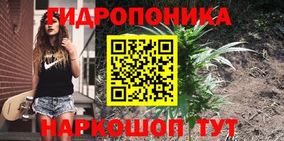 круглые Кимры